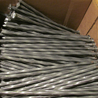Landscape Spikes