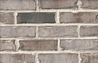 Monaco Brick Carolina Brick